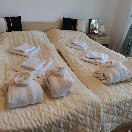 Family Alex⅋marry Raslog