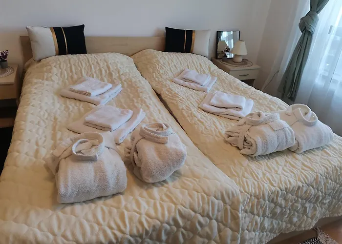 Family Alex⅋marry Razlog